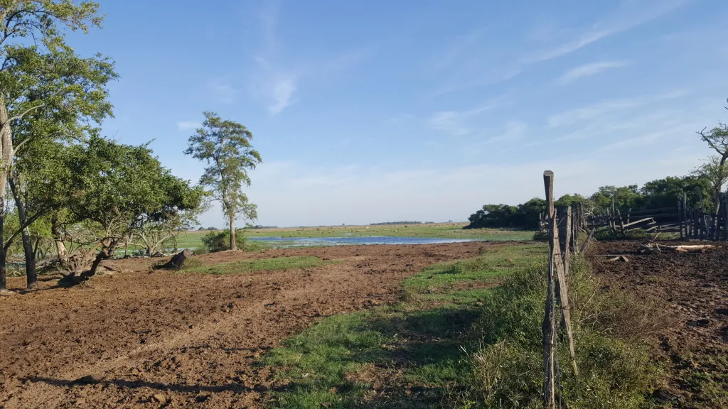 Vendo 200Has sobre Ruta 3 Km103 — foto 3