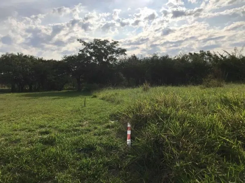 VENDO TERRENOS. SURUBII — foto 3