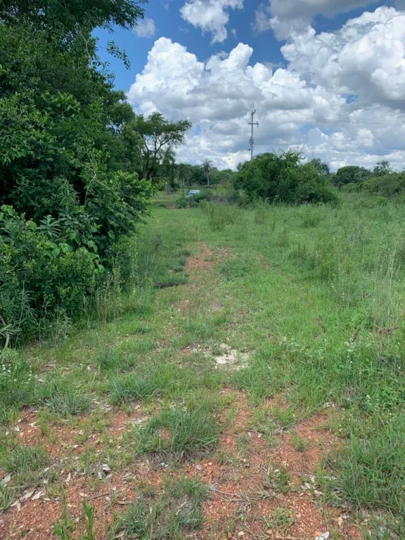 Lote en San Bernardino — foto 2