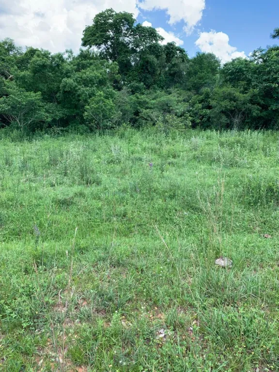 Lote en San Bernardino — foto 3