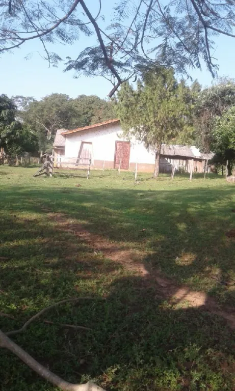 27 ha.en Juan de Mena — foto 2
