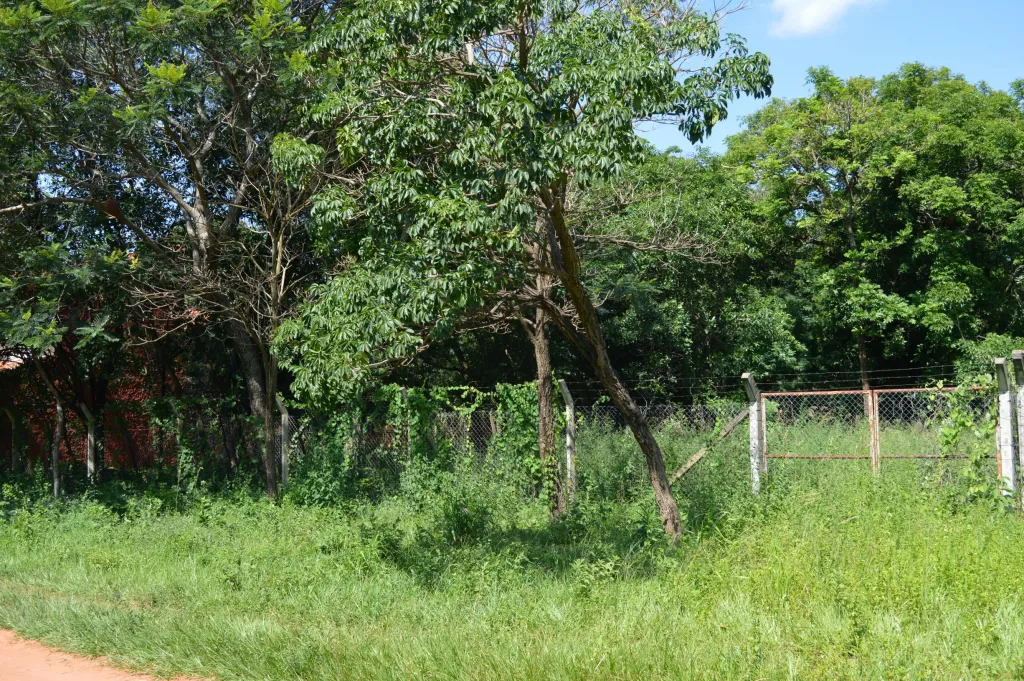 Hermoso Terreno en Zona Alta Residencial de Luque (Loma Merlo) — foto 2