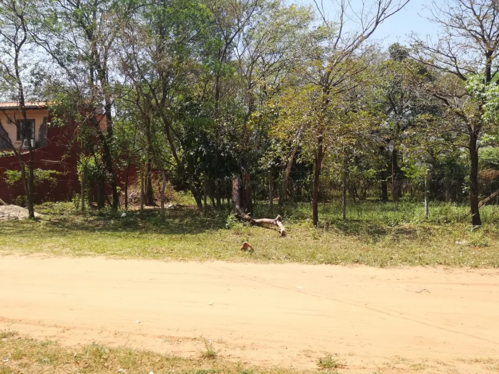 Hermoso Terreno en Zona Alta Residencial de Luque (Loma Merlo) — foto 3