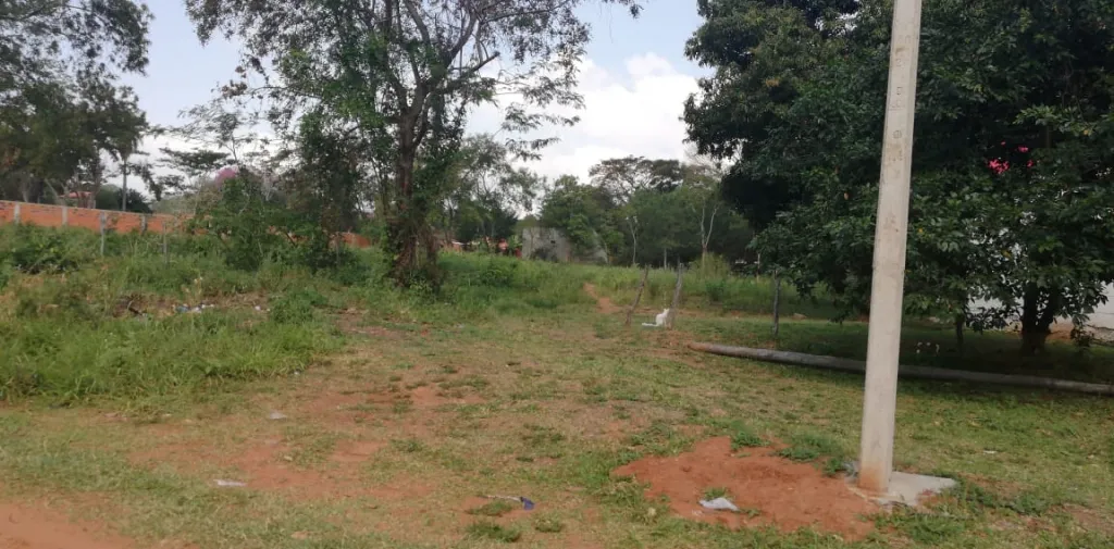 LIMPIO (PROX. LUISITO): 500M2 IDEALES P DEPOSITOS, INDUSTRIAS, ETC, 190.000 USD — foto 2