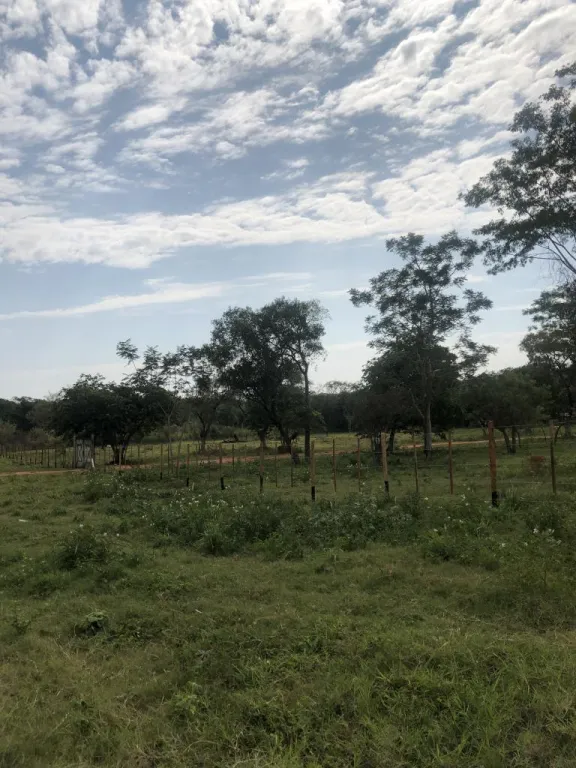 Vendo 1 hectárea en San Bernardino — foto 2