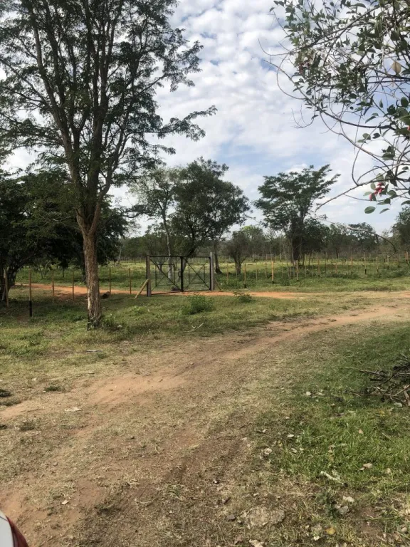 Vendo 1 hectárea en San Bernardino — foto 3