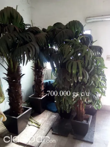 Vendo plantas artificiales #1665467 | Clasipar.com en Paraguay