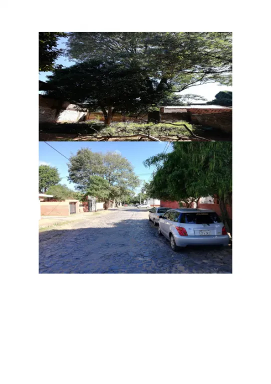 VENDO TERRENO EDIFICADO DE 454.50 m2 B° VISTA ALEGRE ASUNCIÓN ZONA AVDA. EUSEBIO AYALA — foto 2