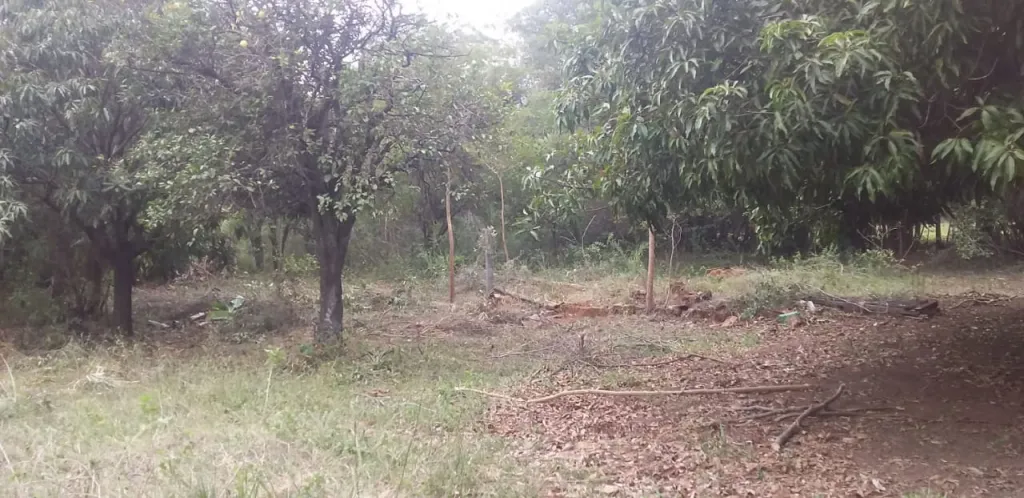 Terreno en San Vicente - Atyrá — foto 3