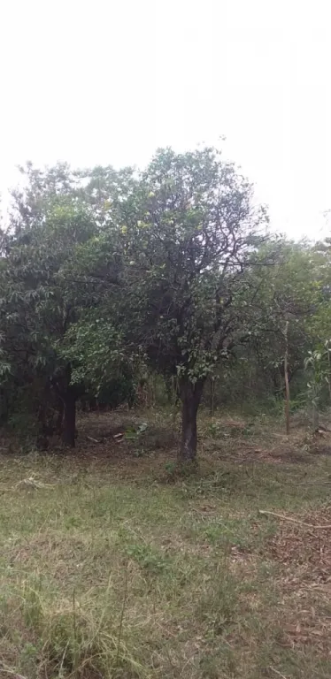 Terreno en San Vicente - Atyrá — foto 2