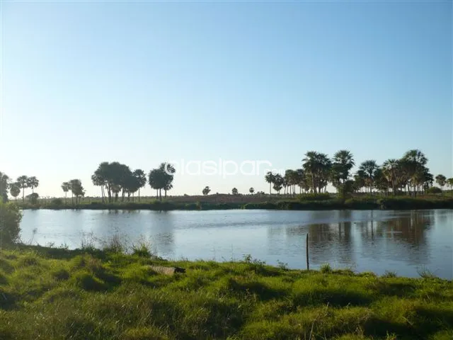CHACO VENDO 2800 HAS ZONA LOMA PLATA CAMINO A PUERTO CASADO CERCANÍAS DE LA RUTA BIOCEÁNIC — foto 2