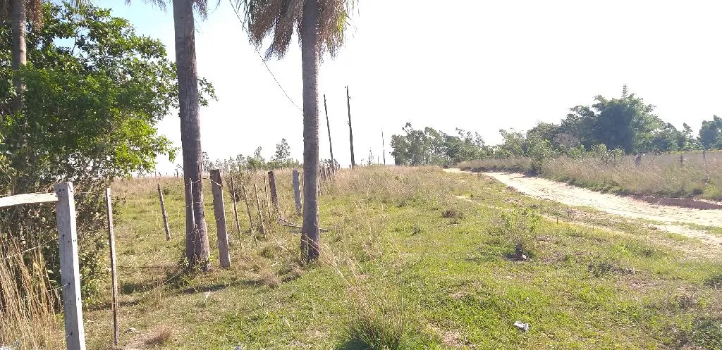 Vendo derechera con una casa — foto 2