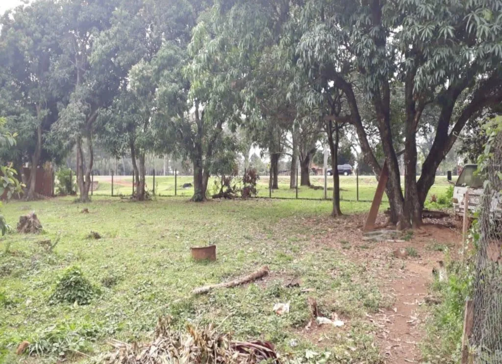 Terreno en Coronel Oviedo sobre Ruta Pavimentada - 5 Has — foto 3