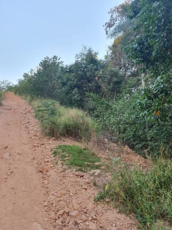 Terreno en Sanber 4.607m2 en altura Zona Anfiteatro! Recibo vehículo y financio — foto 2