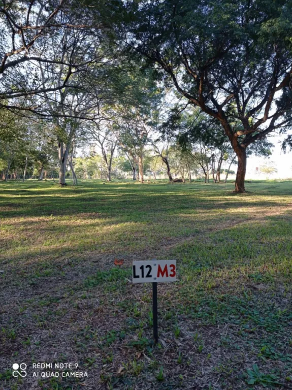 Barrio Cerrado Jardines de Ypacaraí — foto 2