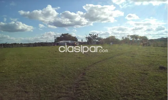 Vendo estancia de 570 Hectáreas — foto 2