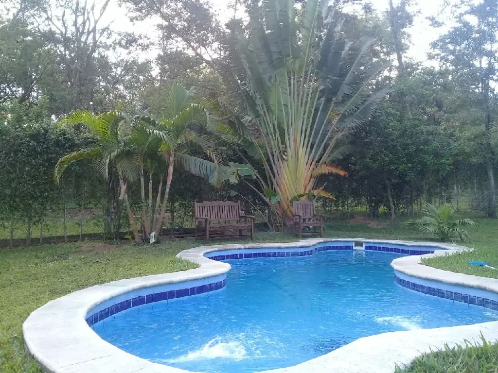 Samber opciones disponibles para la temporad — foto 3