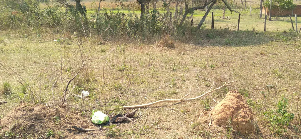 Acceso sur Guarambare 2 Lotes juntos — foto 3