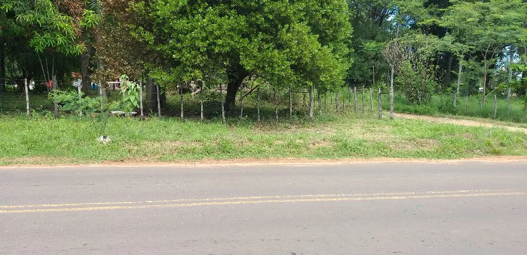 Vendo esta propiedad de 1243 m2 — foto 2