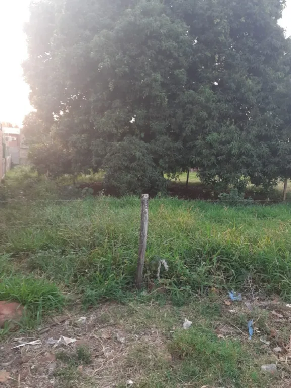 IMPERDIBLE OFERTA TERRENO EN LAURELTY - SAN LORENZO — foto 3