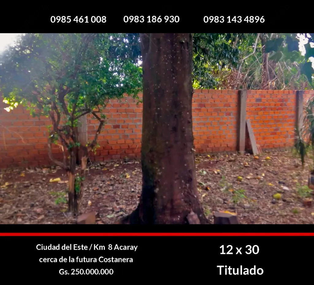 Vendo terreno en Km8 Acaray. 12 x 30. Arbolado, cercado. Título e impuestos al día. — foto 2