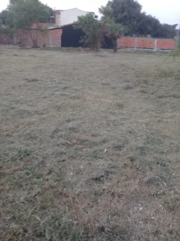 VENDO 3 TERRENOS EN LA CIUDAD DE LIMPIO — foto 2