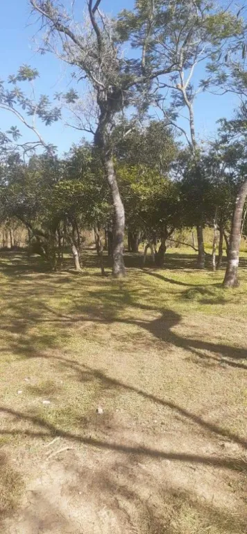 VENDO 10 TERRENOS EN ARROYO Y ESTEROS COD 3167 — foto 2