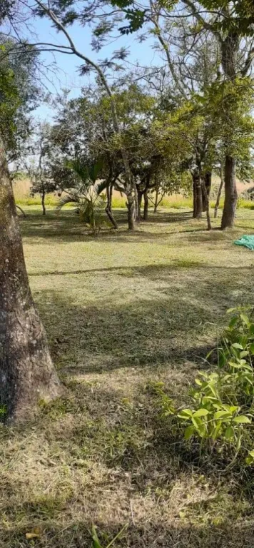 VENDO 10 TERRENOS EN ARROYO Y ESTEROS COD 3167 — foto 3