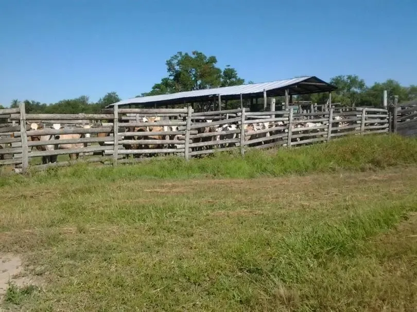 ESTANCIA FORMADA EN CONCEPCION — foto 2