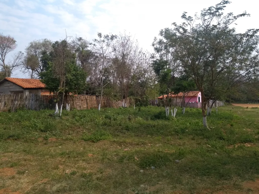 Terreno a transferir — foto 2