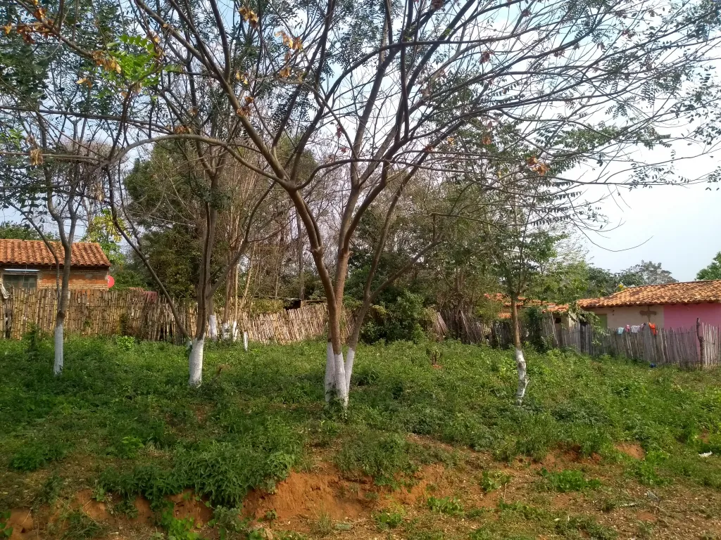 Terreno a transferir — foto 3