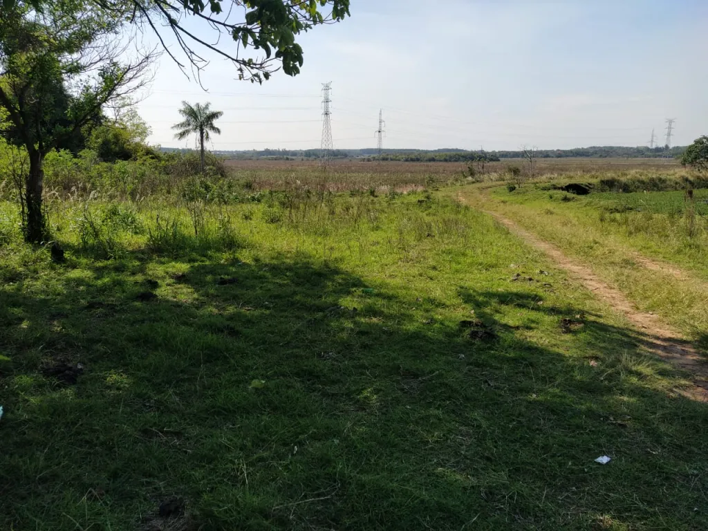 Oportunidad de tener tu propio campo a tan solo 5 minutos de la Ruta 1 — foto 3