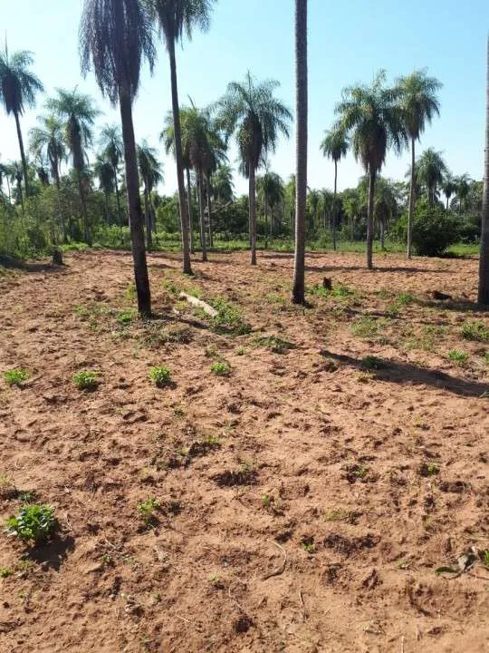 VENDO TERRENO EN LOMA GRANDE 25X60 — foto 2