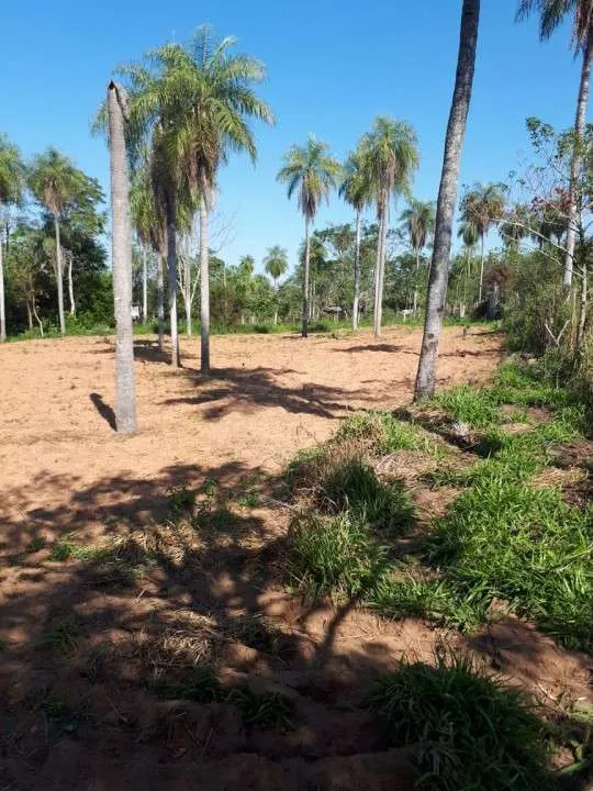 VENDO TERRENO EN LOMA GRANDE 25X60 — foto 3