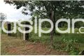 A LA VENTA HERMOSO Y GRAN TERRENO DE 2008 MTS2 EN YUKYRY - LUQUE — foto 2