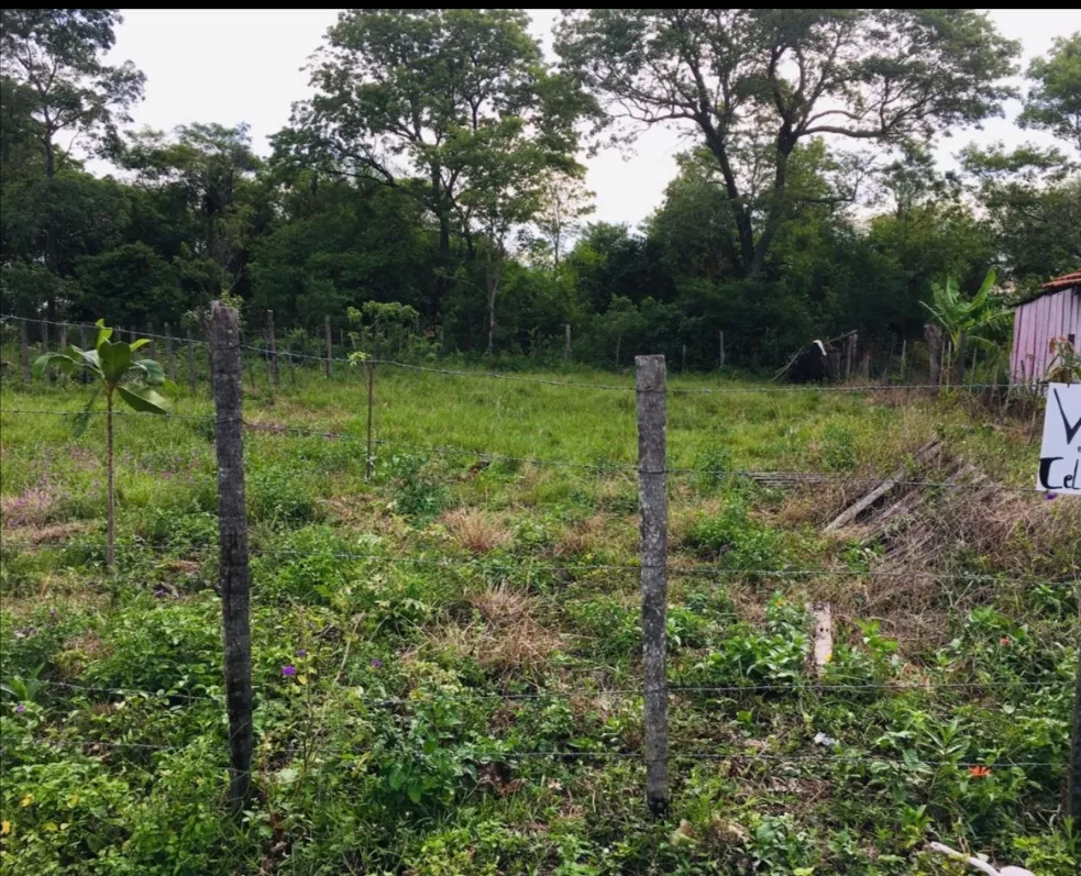 Vendo Terreno en Benjamín Aceval — foto 2