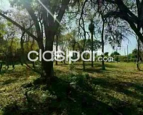 Terrenos en Ventas en la zona de ñemby — foto 3