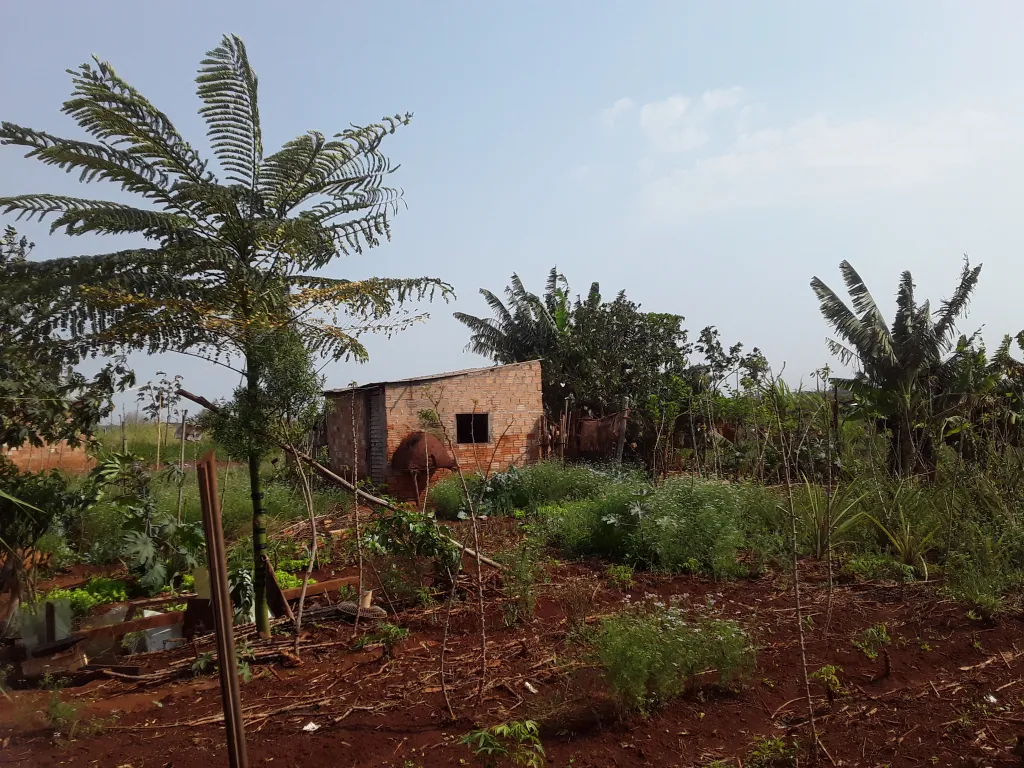 Dos terrenos con casas — foto 2