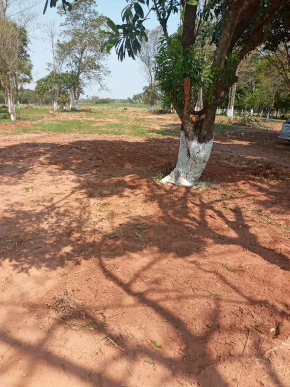 Inmobiliaria La Valentina Capiibary — foto 2