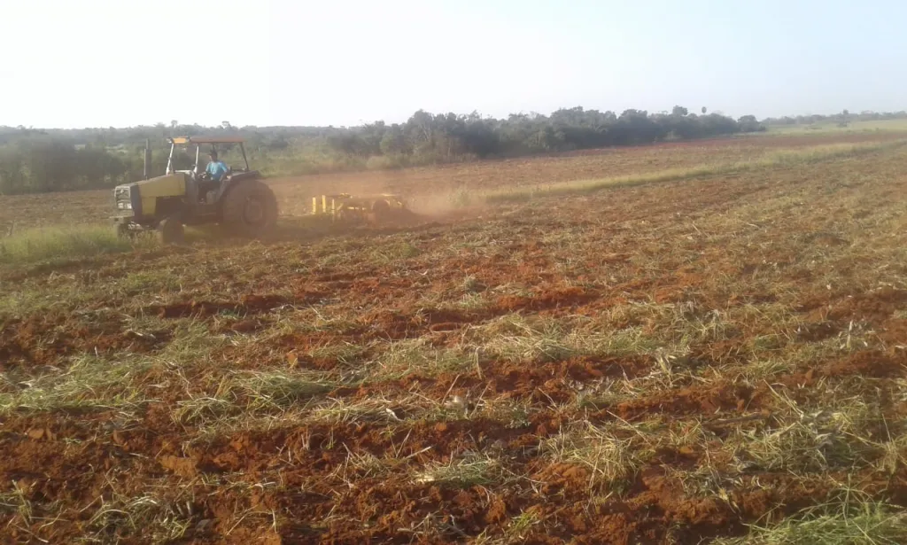 Propiedad 10 Hectareas — foto 2