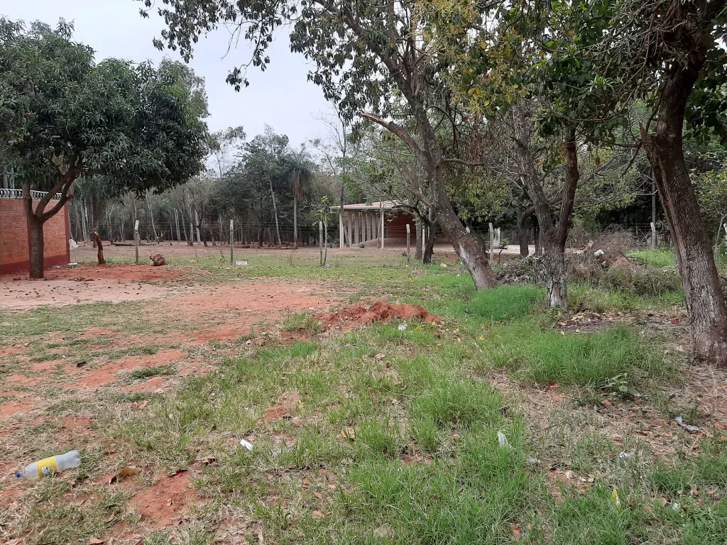 VENDO Terreno — foto 3