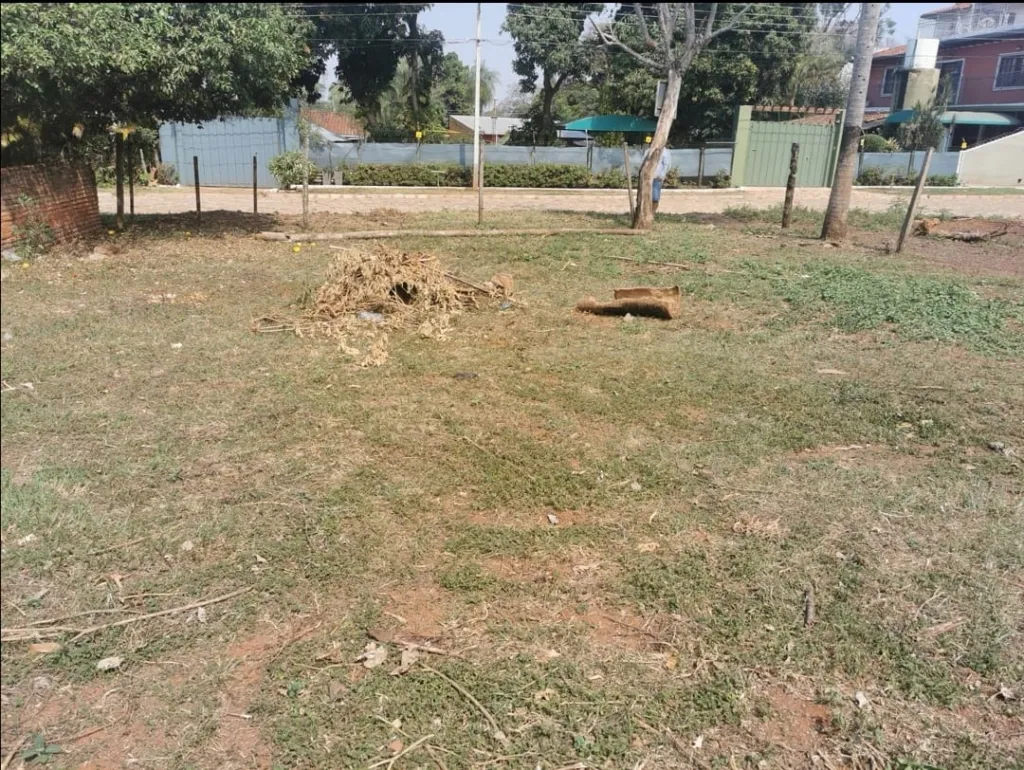 VENDO TERRENO EN LUQUE — foto 3