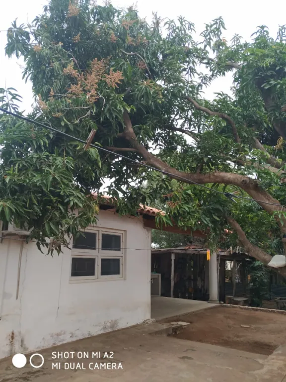 Vendo Casa en Villa Elisa — foto 3