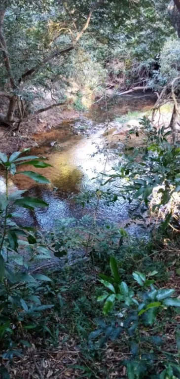 TİTULADO — foto 2