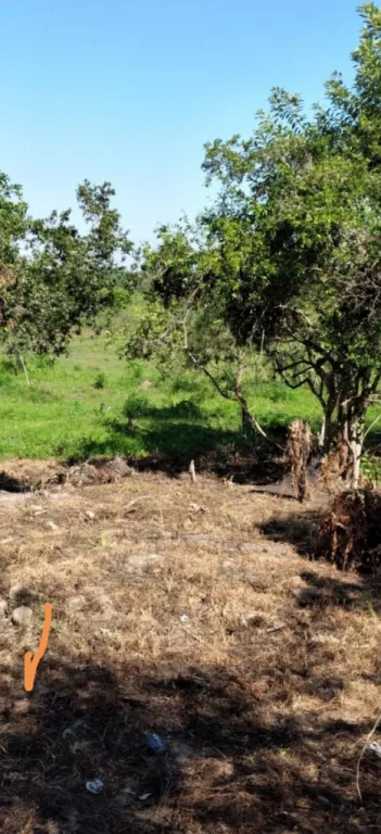 TİTULADO SUPERFICIE CONSTRUIDA 15000M2 QUİNCHO — foto 2