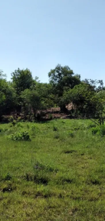 TİTULADO SUPERFICIE CONSTRUIDA 15000M2 QUİNCHO — foto 3