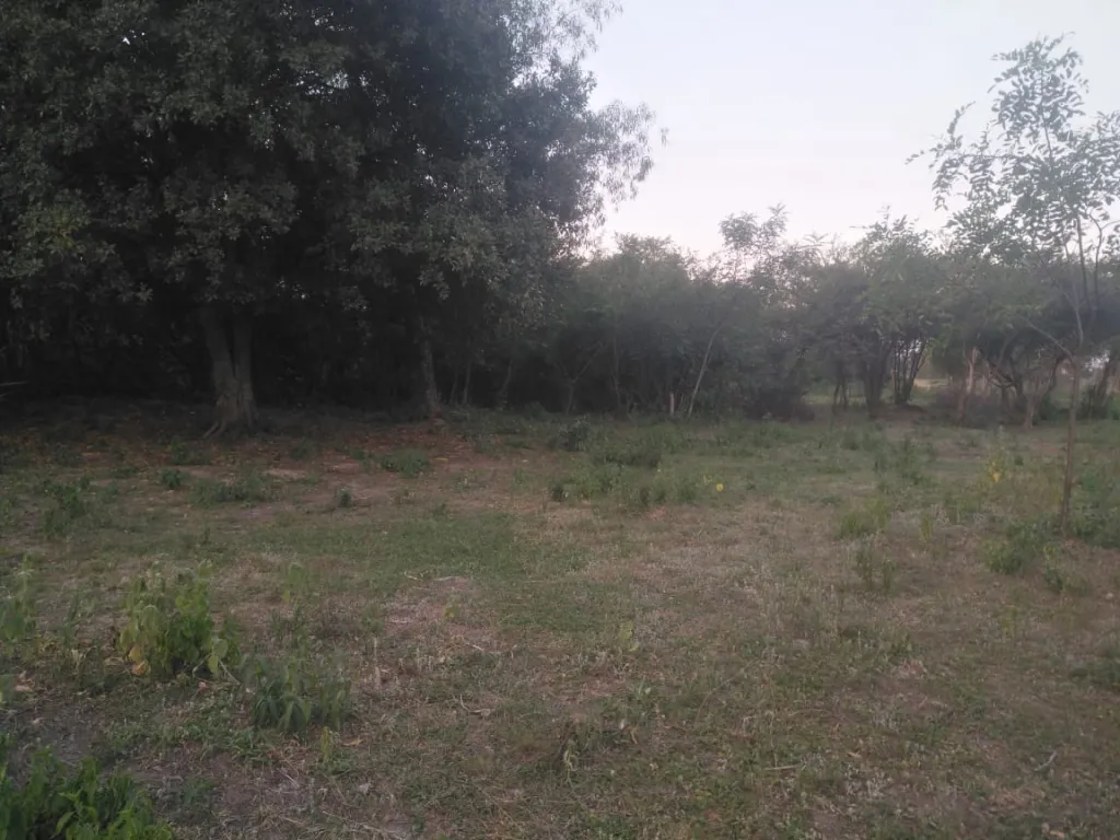 LIMPIO SRUTA: 3.400M2 INMEJORABLES P DESARROLLOS INMOBILIARIOS, 550.000.000 GS. — foto 2