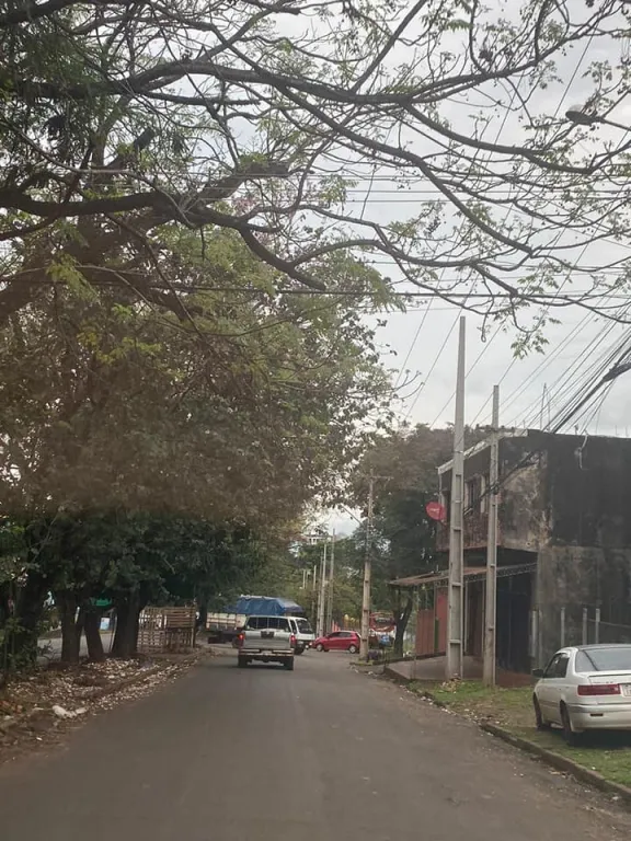 VENDO HERMOSO TERRENO EN ÁREA 2 CIUDAD DEL ESTE — foto 2