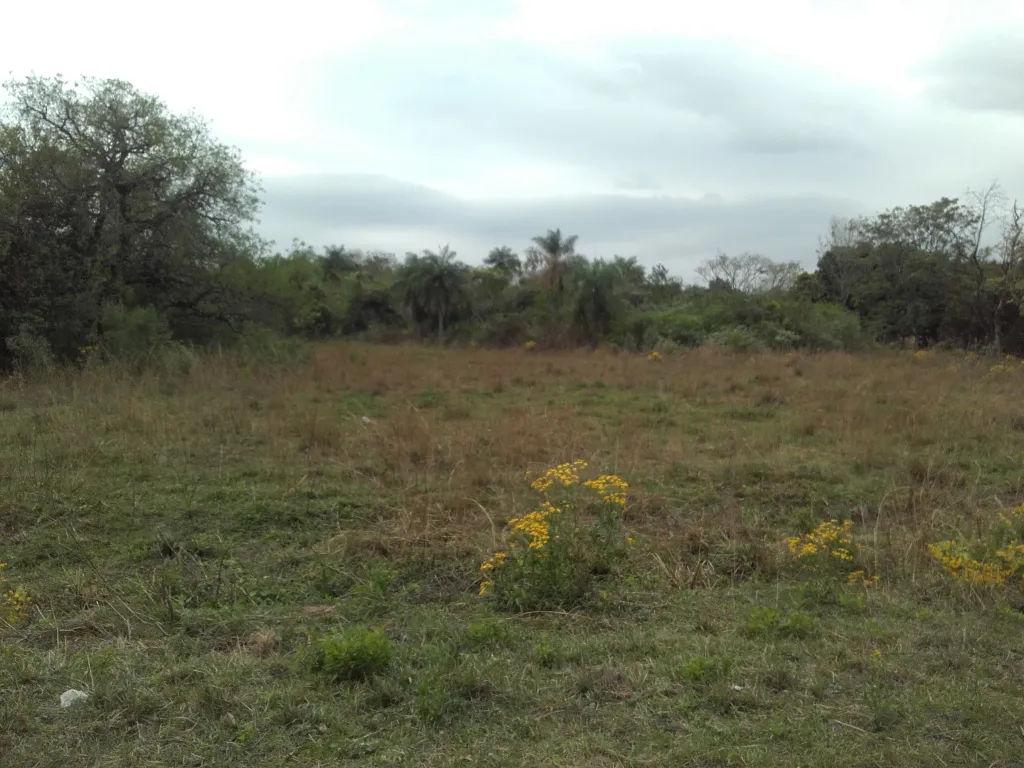 VENDO 14 TERRENOS - YPACARAI - ZONA CURUZU PABLITO KM 42 - 700 MTS DE RUTA 2 — foto 2