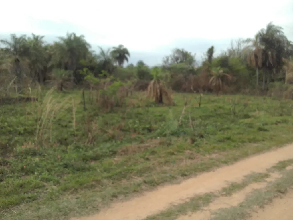 VENDO 14 TERRENOS - YPACARAI - ZONA CURUZU PABLITO KM 42 - 700 MTS DE RUTA 2 — foto 3
